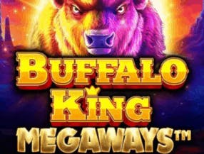 online betting race horse nz