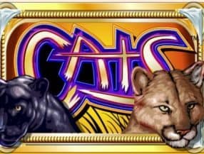 slots pagantes