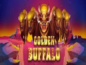 bet sites