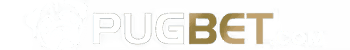 ana bogdan logo
